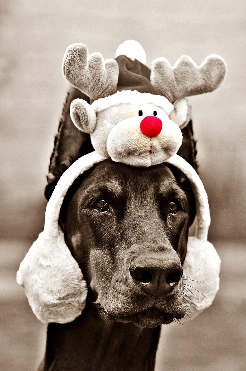 How to Plan the Best Holiday Party Ever in Scottsdale