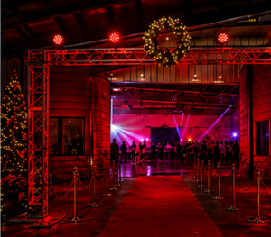 Company Christmas Parties