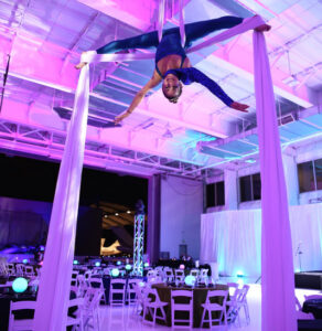 Aerial & Cirque Entertainment,